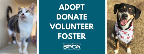Spca harrisonburg va - The Virginia Beach SPCA is a 501(c)(3) non-profit organization. EIN:54-6061532. Contact us at info@vbspca.com. 